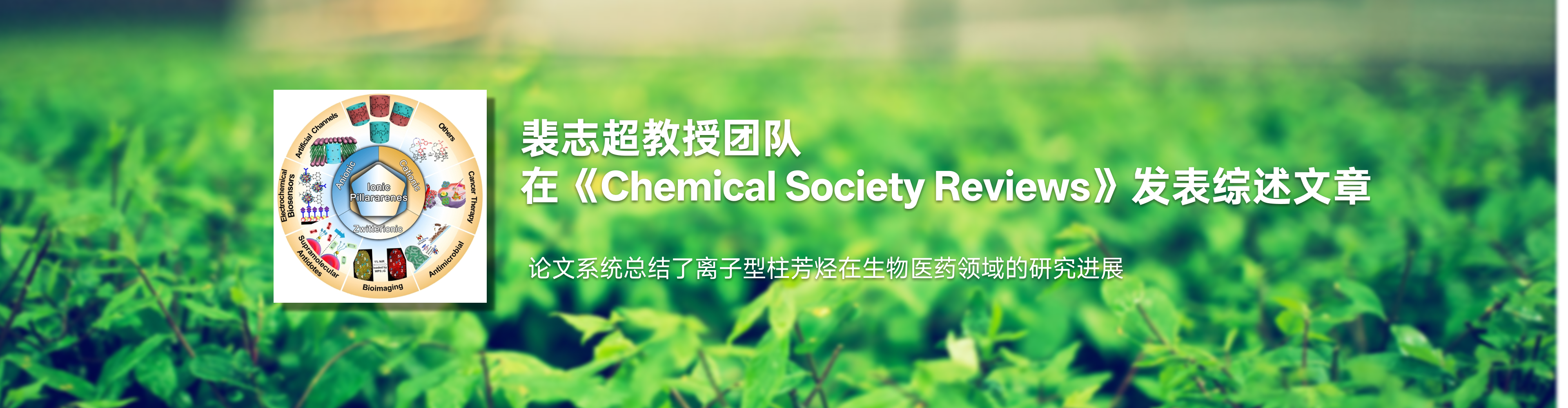 化药性爱直播裴志超教授团队在《Chemical Society Reviews》发表综述文章